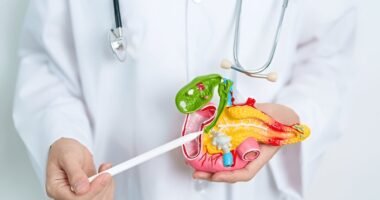 what does the gallbladder do