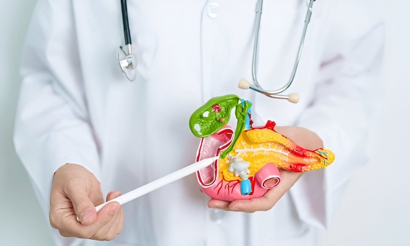 what does the gallbladder do